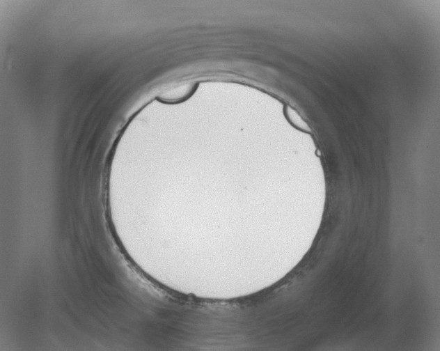 X0000078841526200612111542