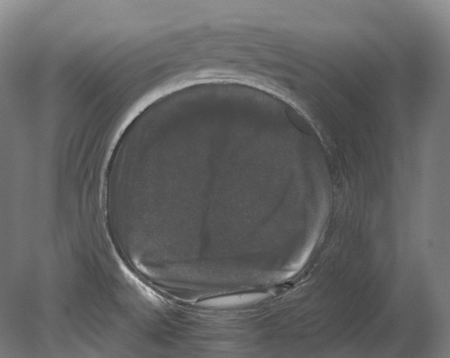 X0000078841527200612111542