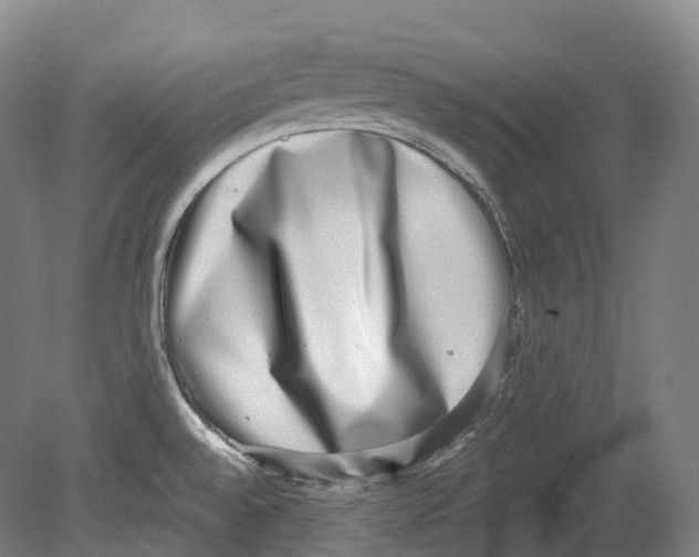 X0000078841528200612111542