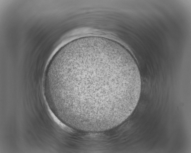 X0000078841531200612111542