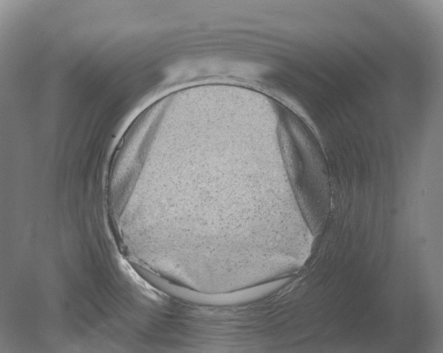 X0000078841532200612111542