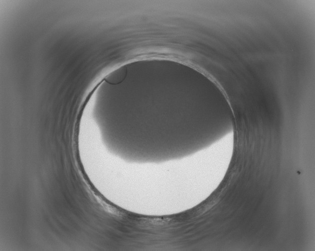 X0000078841533200612111542