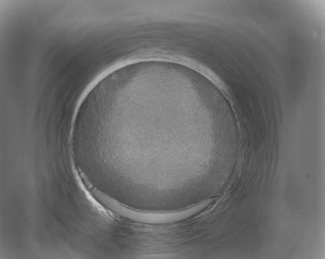 X0000078841536200612111542