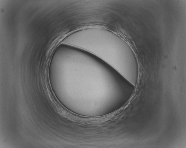 X0000078850001200611130946