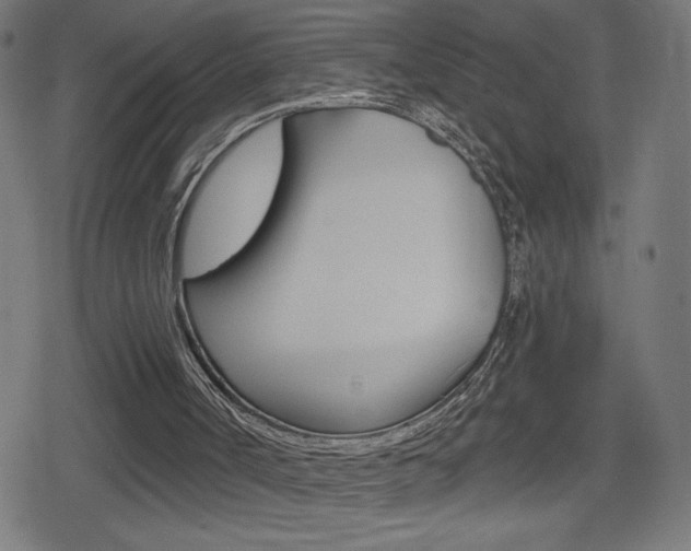 X0000078850002200611130946