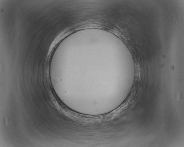 X0000078850004200611130946