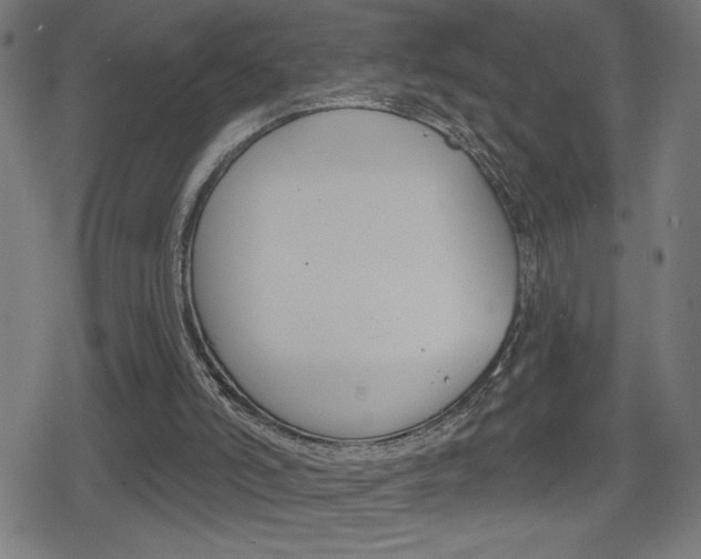 X0000078850006200611130946