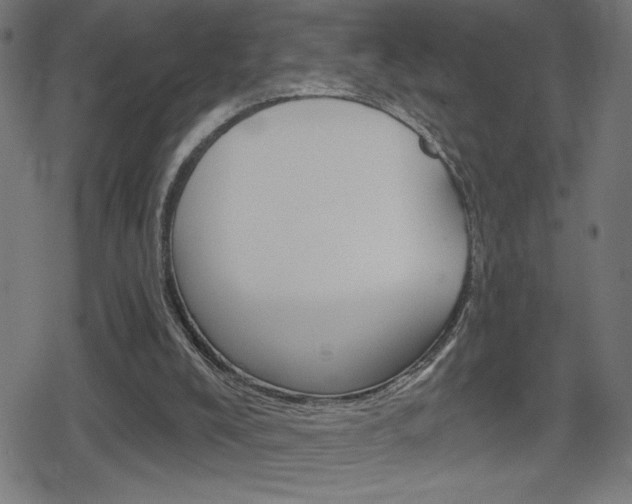 X0000078850008200611130946