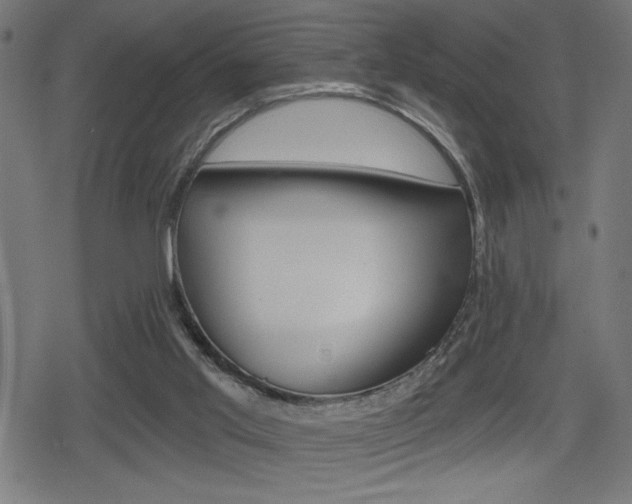X0000078850013200611130946