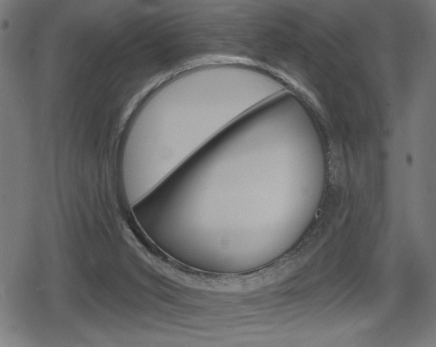 X0000078850015200611130946