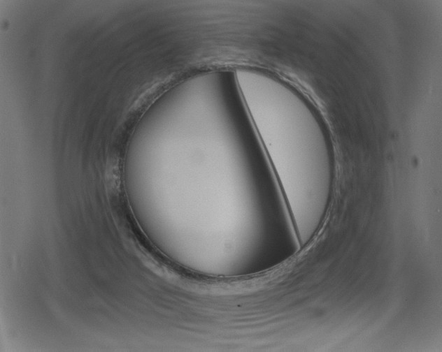 X0000078850017200611130946
