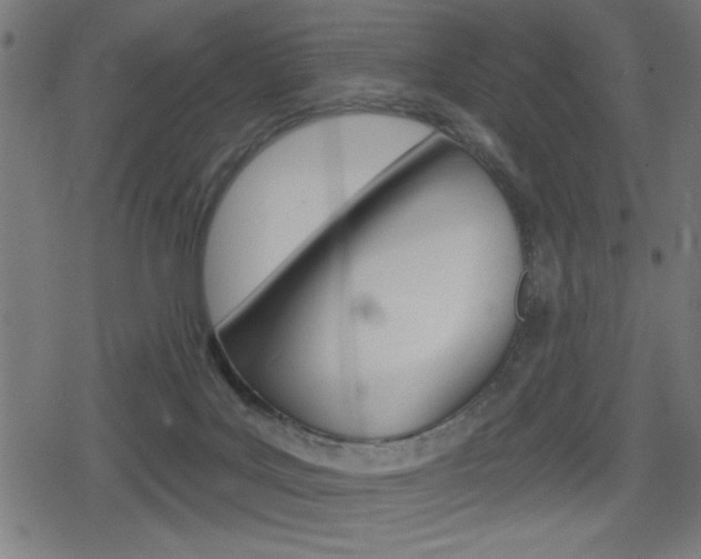 X0000078850027200611130946