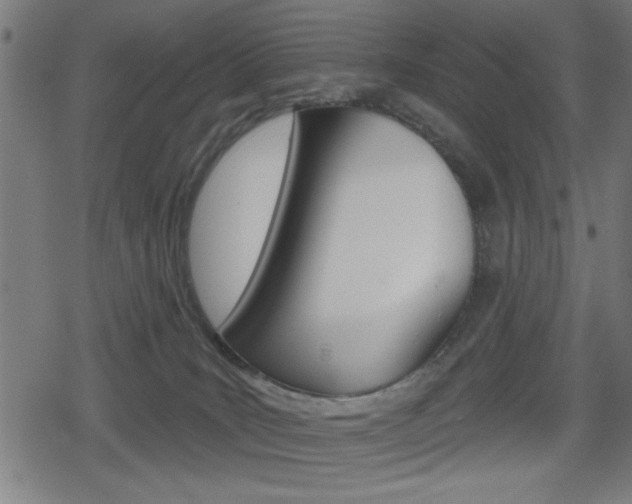 X0000078850035200611130945