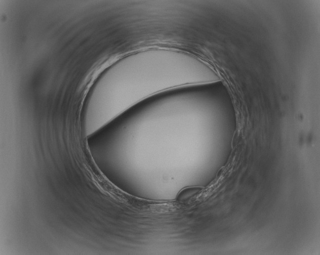 X0000078850050200611130944