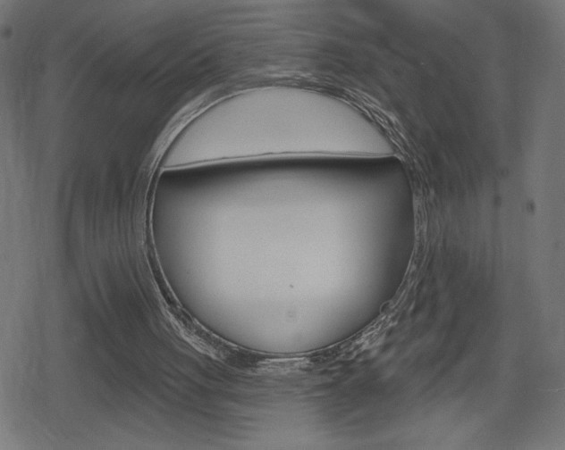 X0000078850051200611130945
