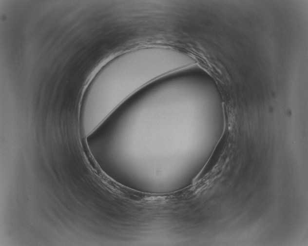 X0000078850052200611130945