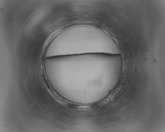 X0000078850053200611130945