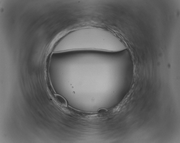 X0000078850054200611130945
