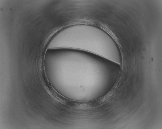 X0000078850058200611130945