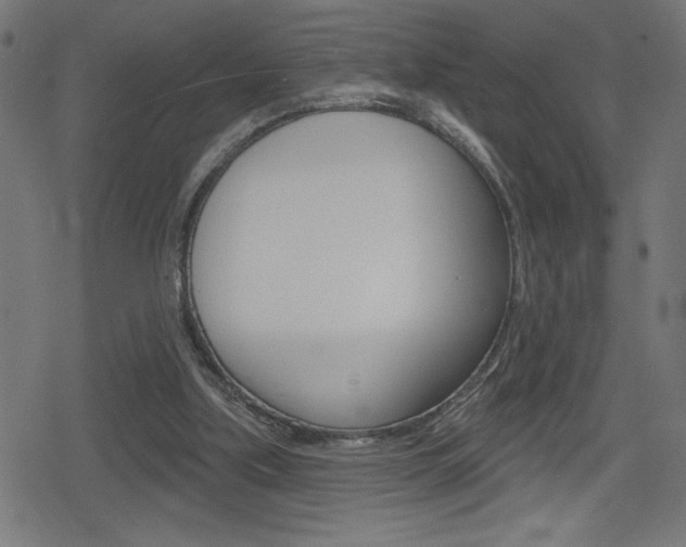 X0000078850059200611130945