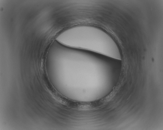 X0000078850066200611130945