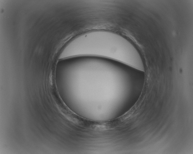 X0000078850068200611130945