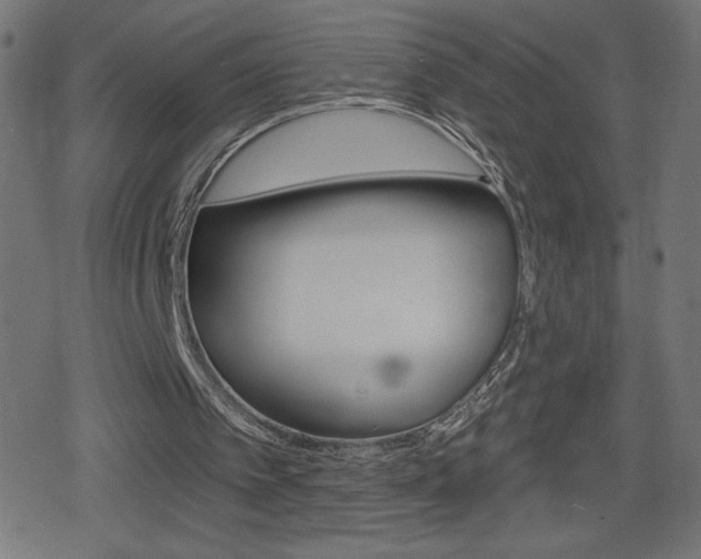 X0000078850097200611130944