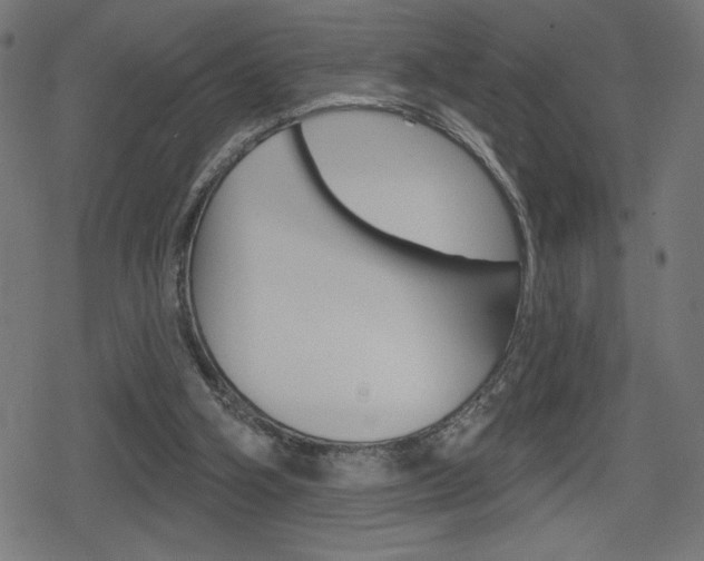 X0000078850106200611130944