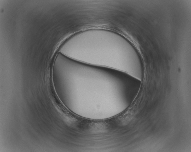 X0000078850107200611130944