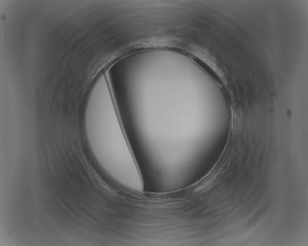 X0000078850109200611130944