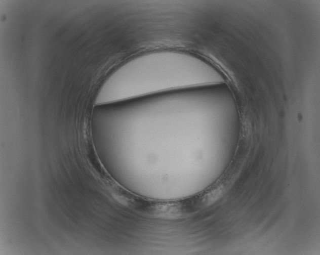 X0000078850117200611130944