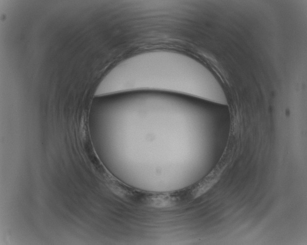 X0000078850121200611130944