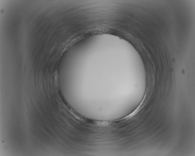 X0000078850144200611130944