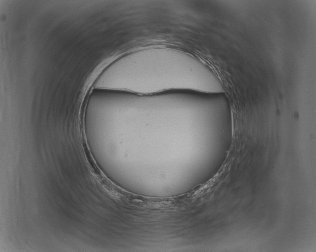 X0000078850147200611130943