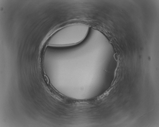 X0000078850150200611130943