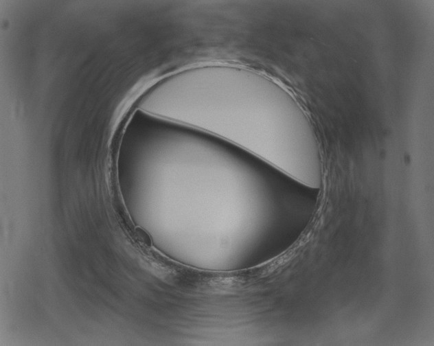 X0000078850152200611130943