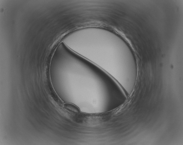 X0000078850154200611130943