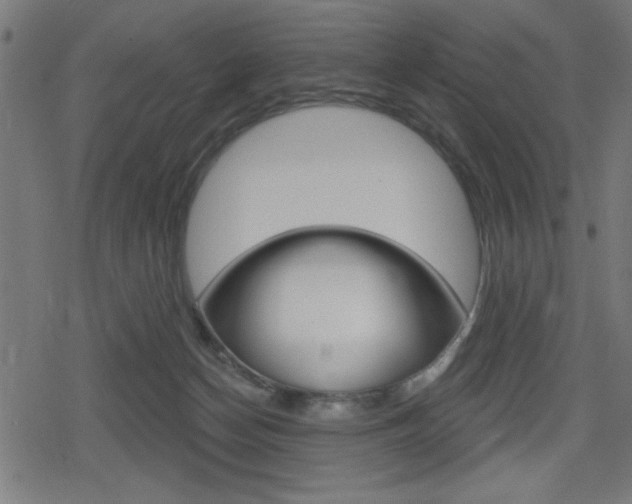 X0000078850174200611130943