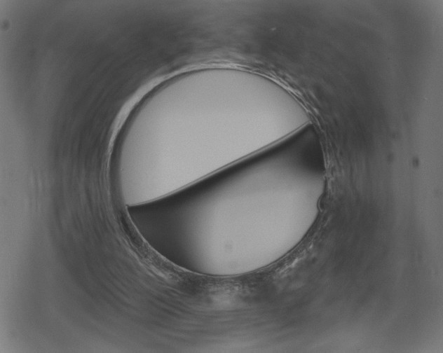 X0000078850200200611130943