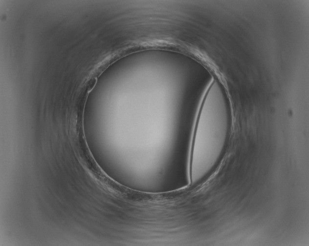 X0000078850201200611130943