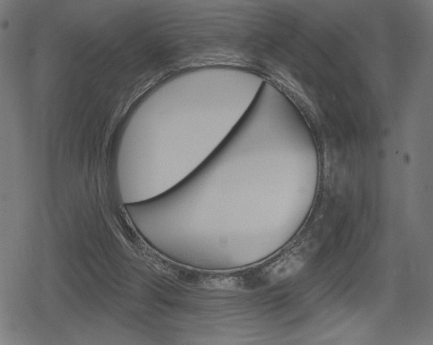 X0000078850202200611130943