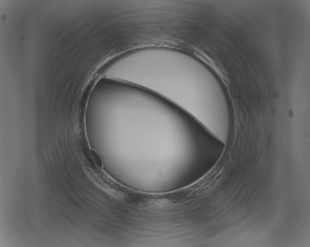 X0000078850203200611130943