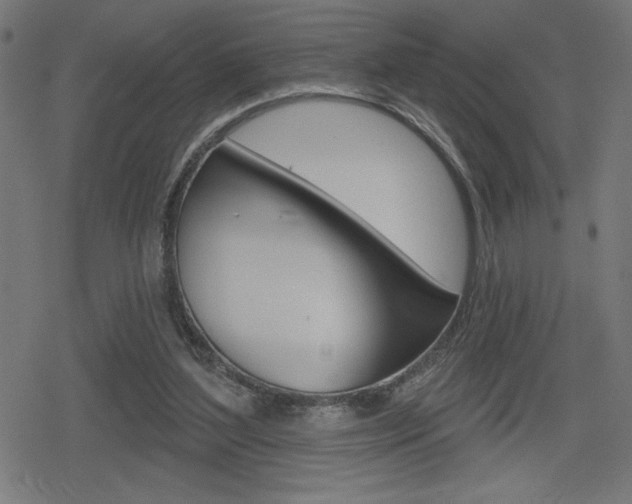 X0000078850204200611130943