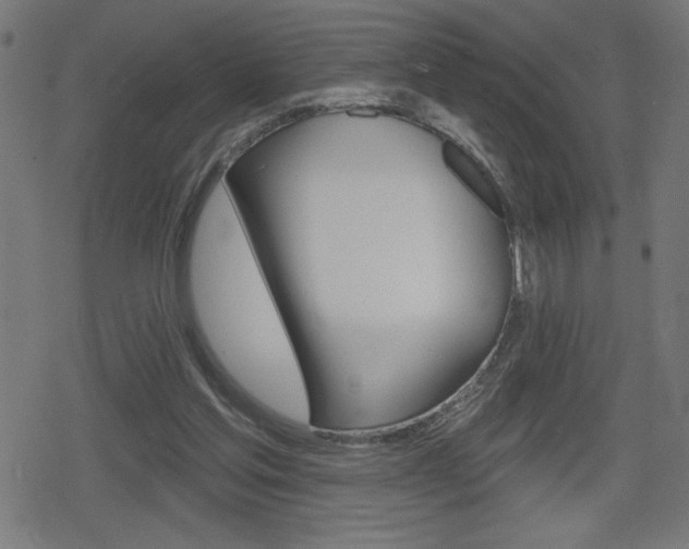 X0000078850205200611130943