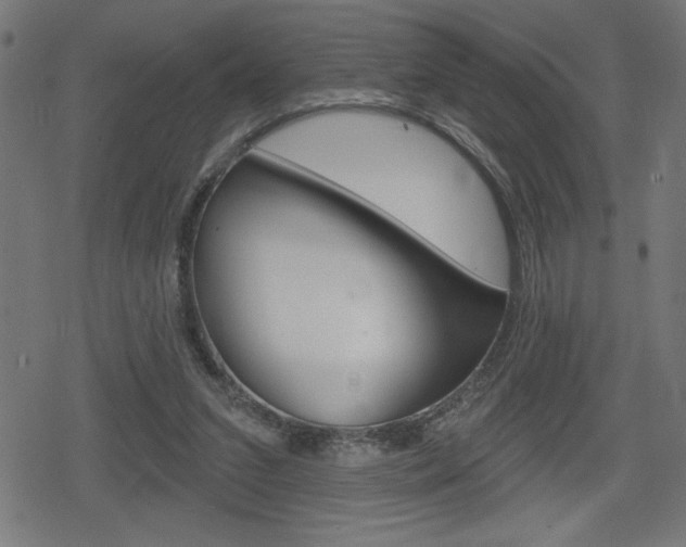 X0000078850207200611130943