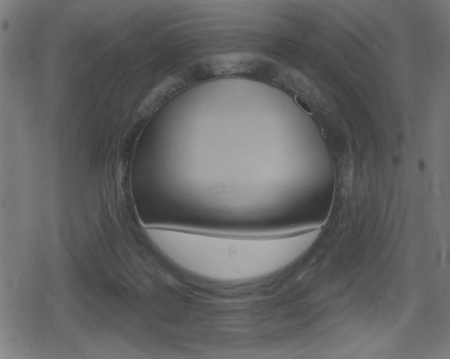 X0000078850219200611130942