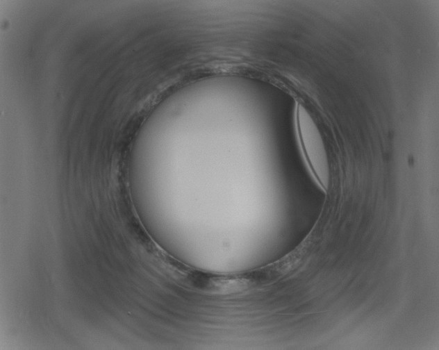 X0000078850221200611130942