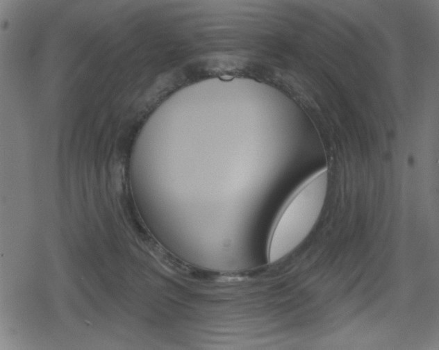 X0000078850227200611130942