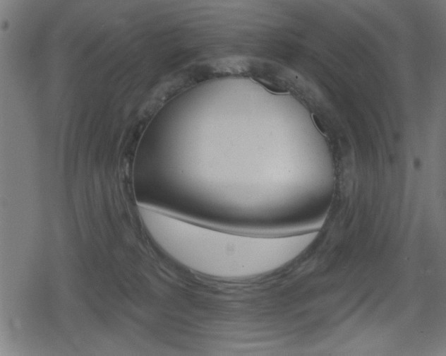 X0000078850229200611130942