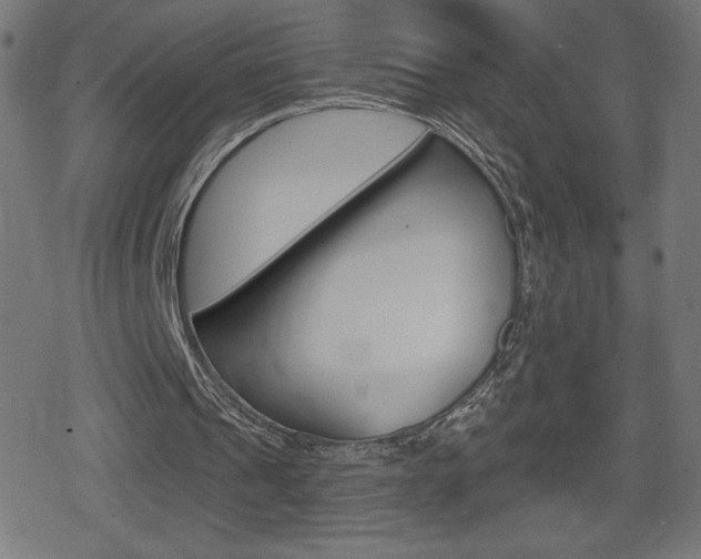 X0000078850241200611130941